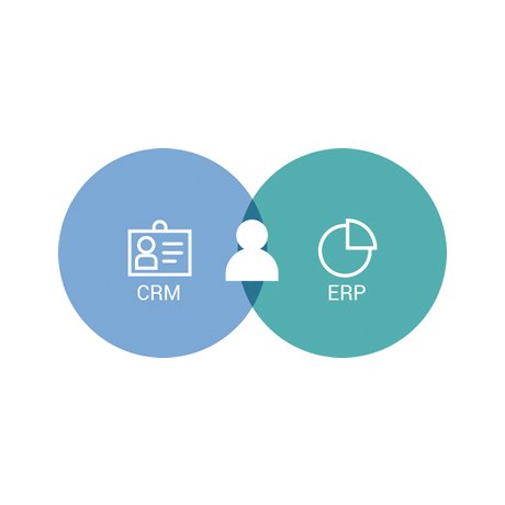 ERP CRM Consulting