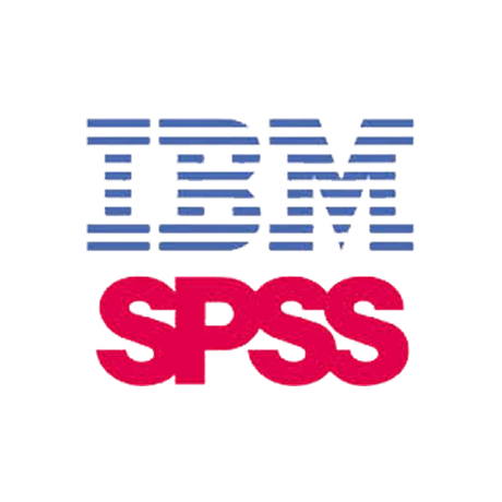 IBM SPSS Consulting